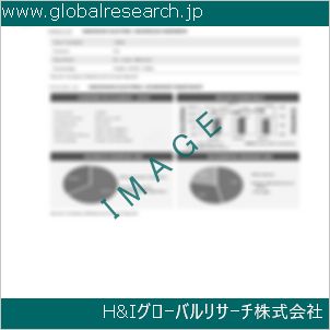 グローバルリサーチ調査資料のイメージ